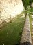 Fontanile di Cartore