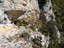 Rocce scoscese e piccola grotta - 2017