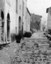 Via del Terrone
