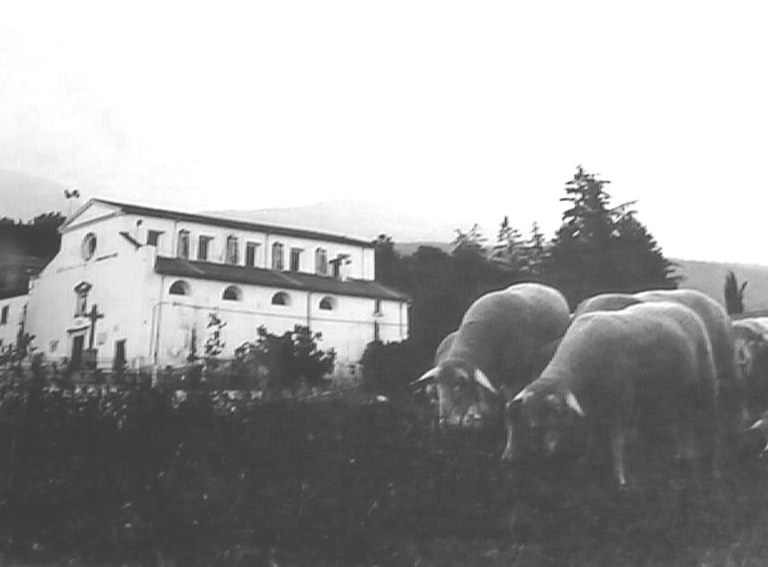 Santuario e pecore al pascolo - Fotografia gentilmente inviate da Pietro Focaia - Senza data