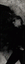 11icona.gif